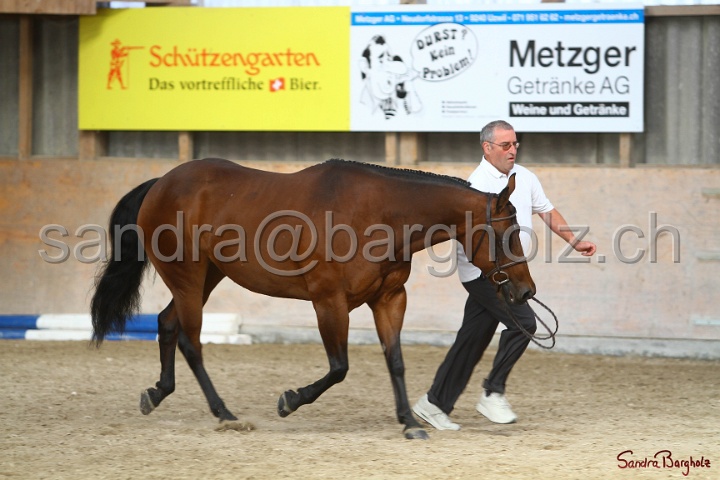 24-ApHC HIH_026.jpg